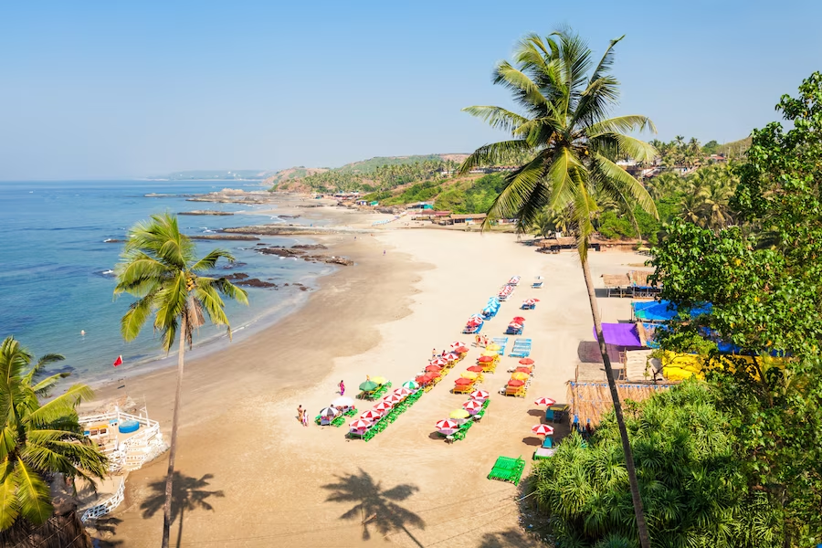 Exotic Goa package